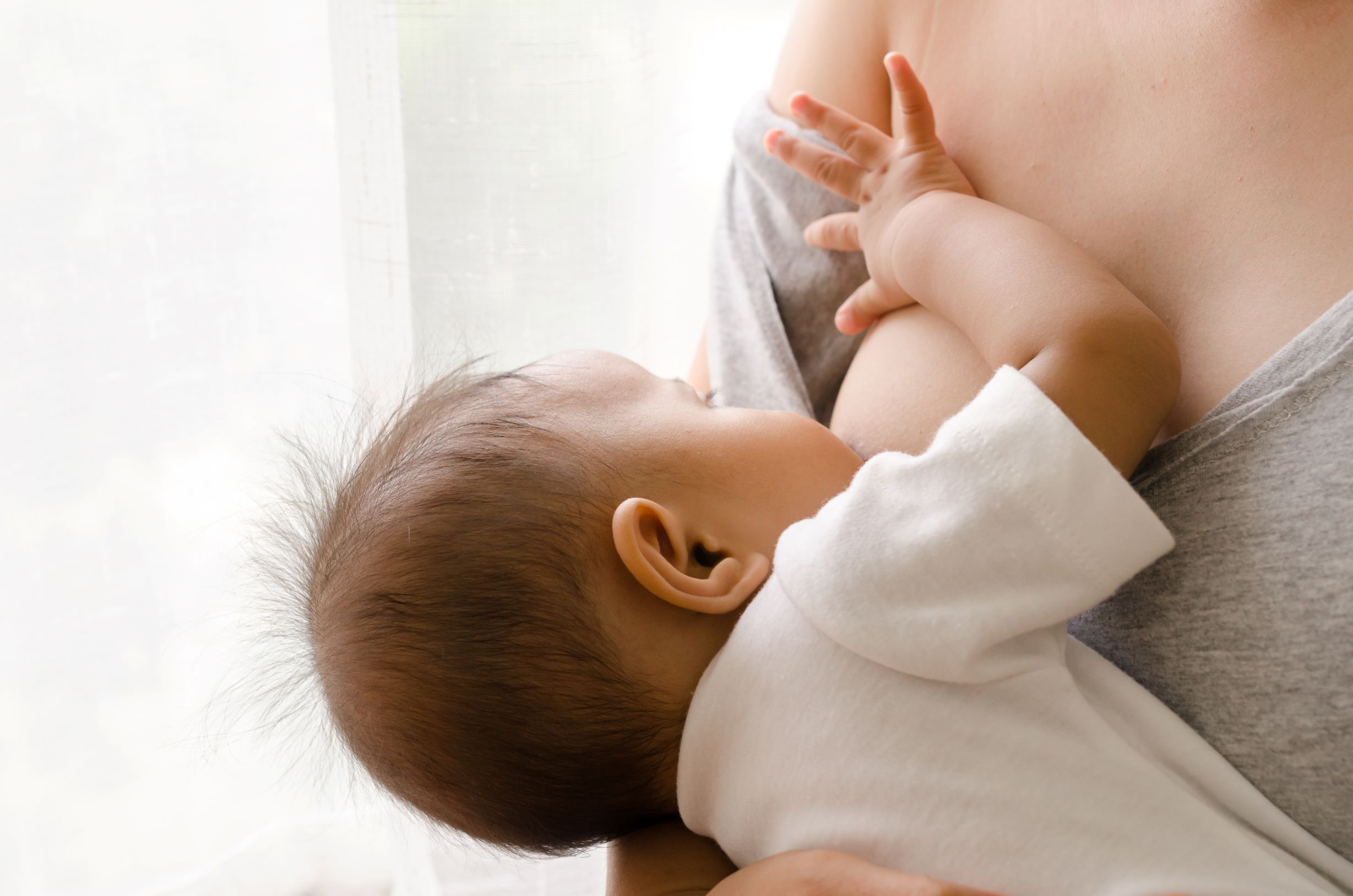 Photo of Breastfeeding Medicine & Lactation Consulting
